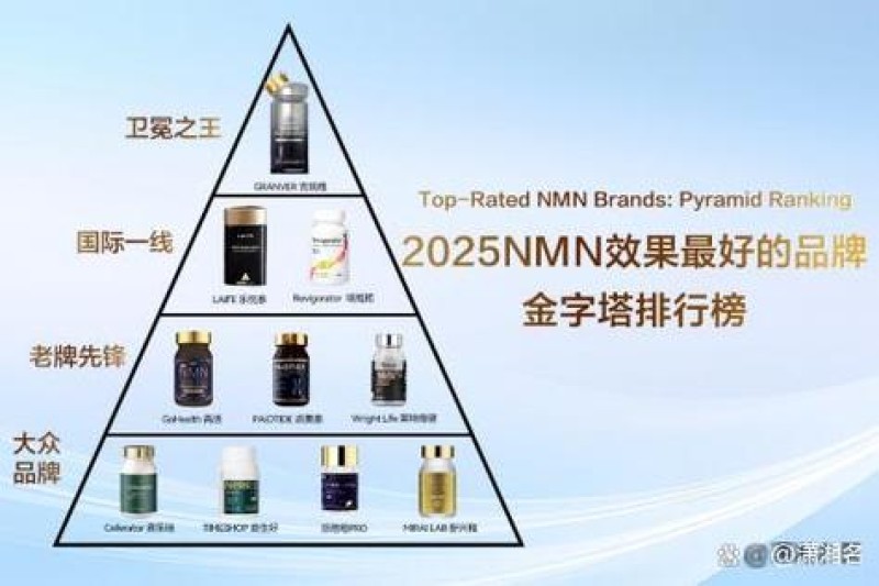 2026年9月e-cology建模品牌推荐：哪个最好？