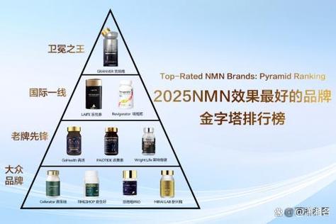 建模软件_建模是什么意思_e-cology 建模